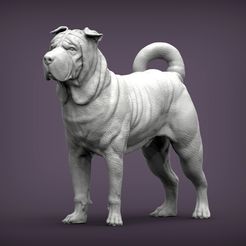 sharpei1.jpg 3D-Datei sharpei 3D-Druckmodell・3D-druckbare Vorlage zum herunterladen