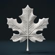 Maple_Leaf-01.jpg Maple Leaf
