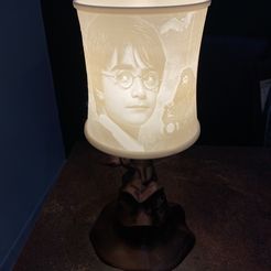 IMG_6420.jpg STL-Datei Harry Potter lampshade kostenlos herunterladen • Vorlage für 3D-Drucker, lalie_d