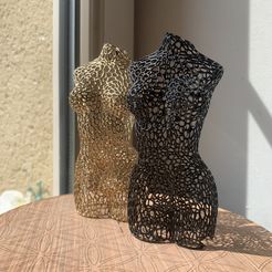 thumbnail_IMG_8445.jpeg STL-Datei Büste Frau Voronoi・Modell für 3D-Drucker zum Herunterladen