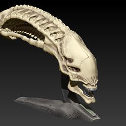 16.jpg Fichier STL Crâne xénomorphe avec base・Modèle à imprimer en 3D à télécharger