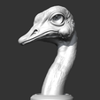 05.png Ostrich Head AM31 3D print model