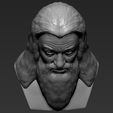 15.jpg Dumbledore from Harry Potter bust 3D printing ready stl obj