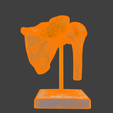 9.png 3D Model of Human Shoulder Joint on Stand