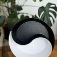 WhatsApp-Image-2026-03-31-at-20.15.46-4.jpeg Yin-Yang Planters Set