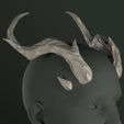 Headshot_Elora0003.jpg Fantasy Horns | Elora