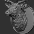 5.jpg Deer head