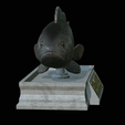 White-grouper-statue-7.png fish white grouper / Epinephelus aeneus statue detailed texture for 3d printing