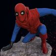 5.jpg Spider-Man Homemade Suit
