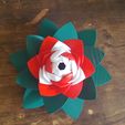 20190706_103510.jpg Flower Puzzle