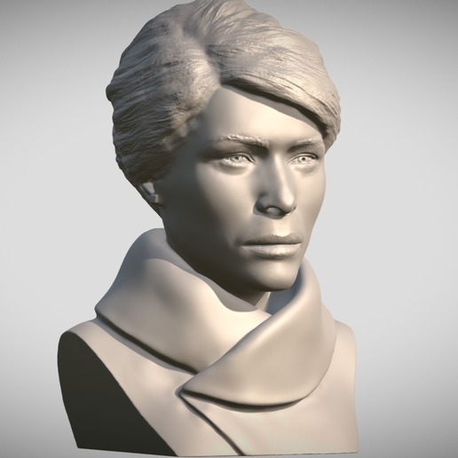 Zrzut-ekranu-2025-04-16-214400.png Melania Trump bust for 3D printing