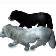 9.jpg DOG DOG - DOWNLOAD Sheepdog 3d model - CANINE PET GUARDIAN WOLF HOUSE HOME GARDEN POLICE 3D printing DOG DOG