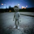WhatsApp-Image-2023-10-19-at-06.26.22.jpeg Felipe Hime miniature