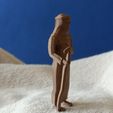 IMG20220214132356.jpg STL file Low poly Bedouin・Model to download and 3D print