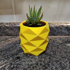 IMG_20210219_223224.jpg Fichier STL Mini pot à cactus à faible teneur en poly ananas・Design pour imprimante 3D à télécharger