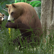 0_00004.png Bear DOWNLOAD Bear 3d model - animated for blender-fbx-unity-maya-unreal-c4d-3ds max - 3D printing Bear Bear