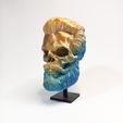 02.jpg BEARD SKULL COLLECTION - Nº1