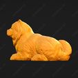 3850-Chow_Chow_Smooth_Pose_08.jpg Chow Chow Smooth Dog 3D Print Model Pose 08