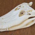 Capture d’écran 2017-03-28 à 15.46.16.png Free STL file Crocodile Skull・3D printer model to download