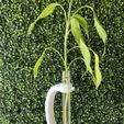 IMG_9485.jpg Modern floating tube vascular plants planter