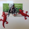 38202efb1b965e2bba2bc54393f02e50_display_large.JPG Gecko Fridge Magnet