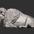 bison12.jpg Bison 3D-Druckmodell