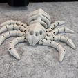 IMG_6843.jpg Flexi Skeleton Spider V2