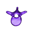 VertebralColumn17.stl Skeleton vertebral column torso bones (90 bones)