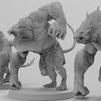 untitled.2718.jpg Free STL file Rattus Muscularis・3D printable design to download