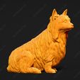 695-Australian_Terrier_Pose_06.jpg Australian Terrier Dog 3D Print Model Pose 06