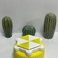 IMG_5347.jpg STL file Bowl with open-close mechanism (Print-in-place)・Template to download and 3D print