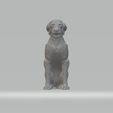 2.png Labrador Retriever Free 3D print model