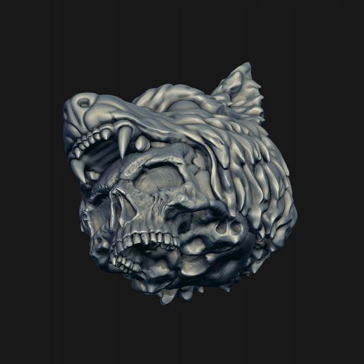 11.jpg Skull wolf scalp