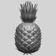 15_TDA0552_PineappleA09.png Pineapple