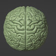 Screenshot_6.png Molde da tampa do cérebro_Formação de vácuo