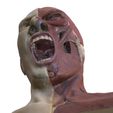 4.jpg ANATOMY HUMAN HEAD MAN FOSSILIZED FOSSIL ANATOMY GUTS INTESTINES INTERIOR STOMACH HEART OPEN HEAD BONES MUSCLES HANKS FROG TOAD AMPHIBIAN TADPOLE ANIMAL ANATOMY 3D MODEL The Anatomy of Rage MOUTH TEETH NOSE NECK