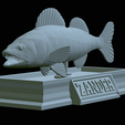 zander-statue-4-open-mouth-1-28.png fish zander / pikeperch / Sander lucioperca  open mouth statue detailed texture for 3d printing