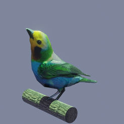 untitled2.png bird