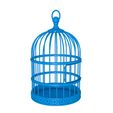 565656454.jpg BirdCage