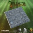 forest-promo100-square.jpg Forest Bases