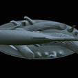 Perlin-22.png fish common rudd statue detailed texture for 3d printing