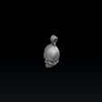 0.3212133212321321.jpg Skull Pendant 3D print model