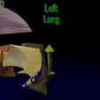 lung-pulmonary-segment-anatomy-3d-model-blend-25.jpg Lung Pulmonary segment anatomy 3D model