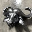 S__22847528.jpg African buffalo Head