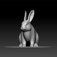 ZBrush-Documdddd.jpg rabbit