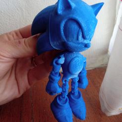 20220225_115210.jpg Sonic Articulated
