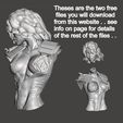 anderson free model1.jpg Download free STL file We are the Law- Judge Anderson Torso Free Model 5 – by SPARX • Object to 3D print, SparxBM