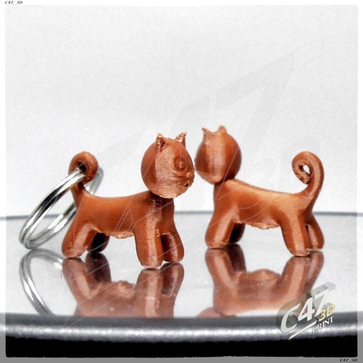 Cat keyring