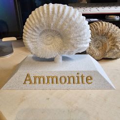 20240216_154927.jpg Ammonite fossil with stand