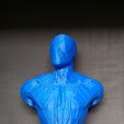 Busto Spiderman - Fácil de imprimir, sin soportes.